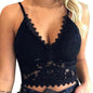 Mesh Lace Women Top