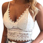 Mesh Lace Women Top