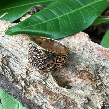 Bronze Helm of Awe and Raven Ring